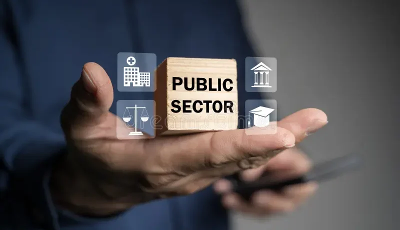 public-sector-government-education-health-municipal-service-provide-people-infrastructure-concept-business-technology-338767721